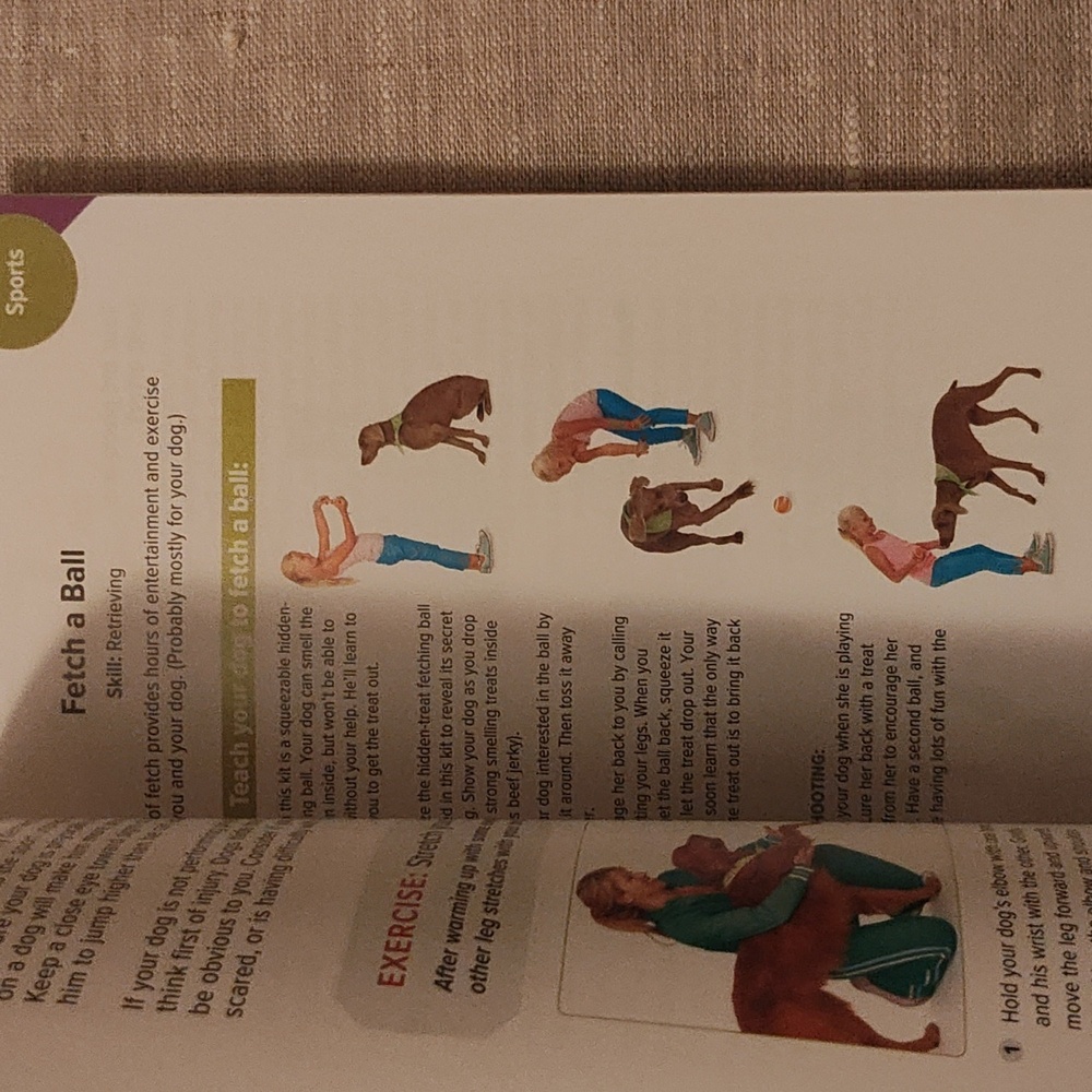 Dog Activity Kit Booklet - Picture 4 of 8